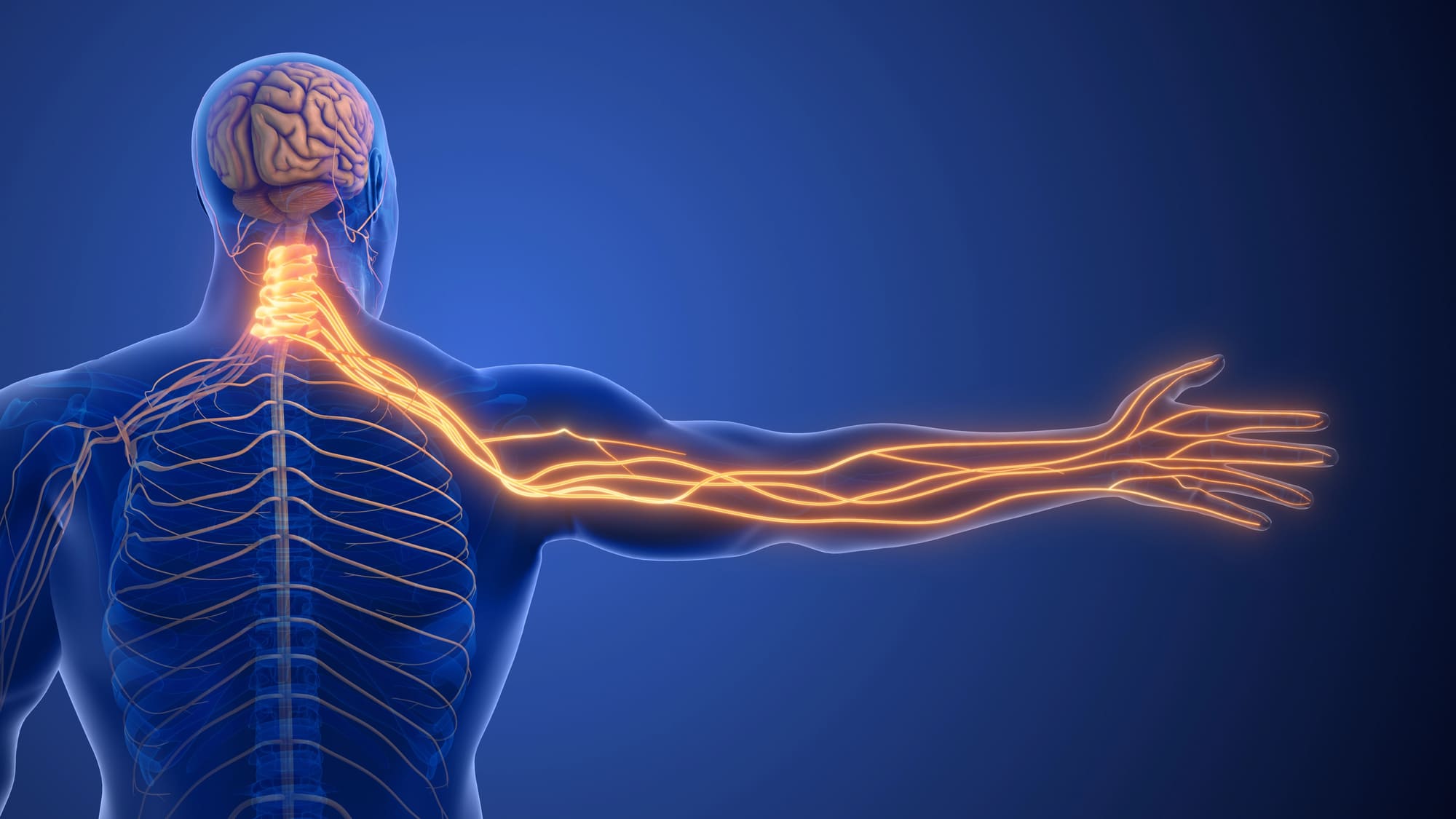 Nerve Pain - MidSouth Pain Treatment Center